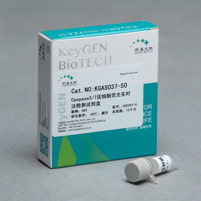 细胞因子检测试剂盒